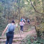 The Stairway to Bagdwar